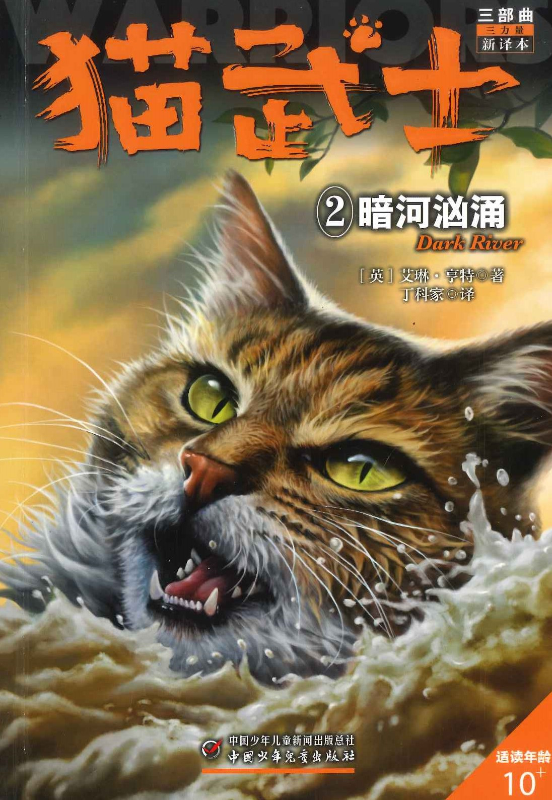 No. 763 Maowushi - Dark River